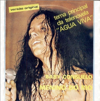 Capa de Menino do Rio